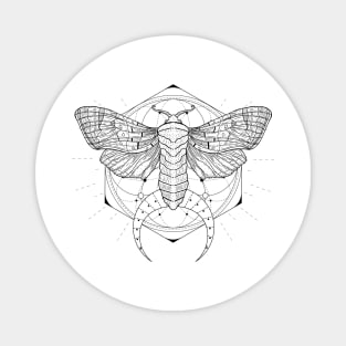 Satin Moth | Crescent Moon Magnet